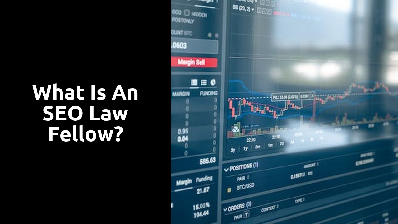 What is an SEO law fellow?